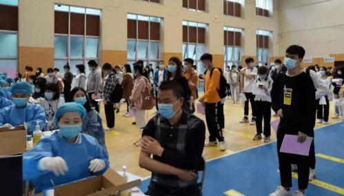 石家庄早市爆料最新消息,新鲜资讯速览  第3张