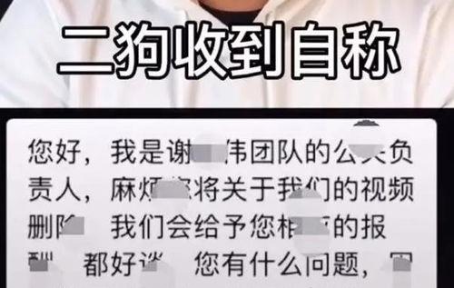 网红爆料嘎子哥视频下载,嘎子哥视频下载攻略大公开！  第2张